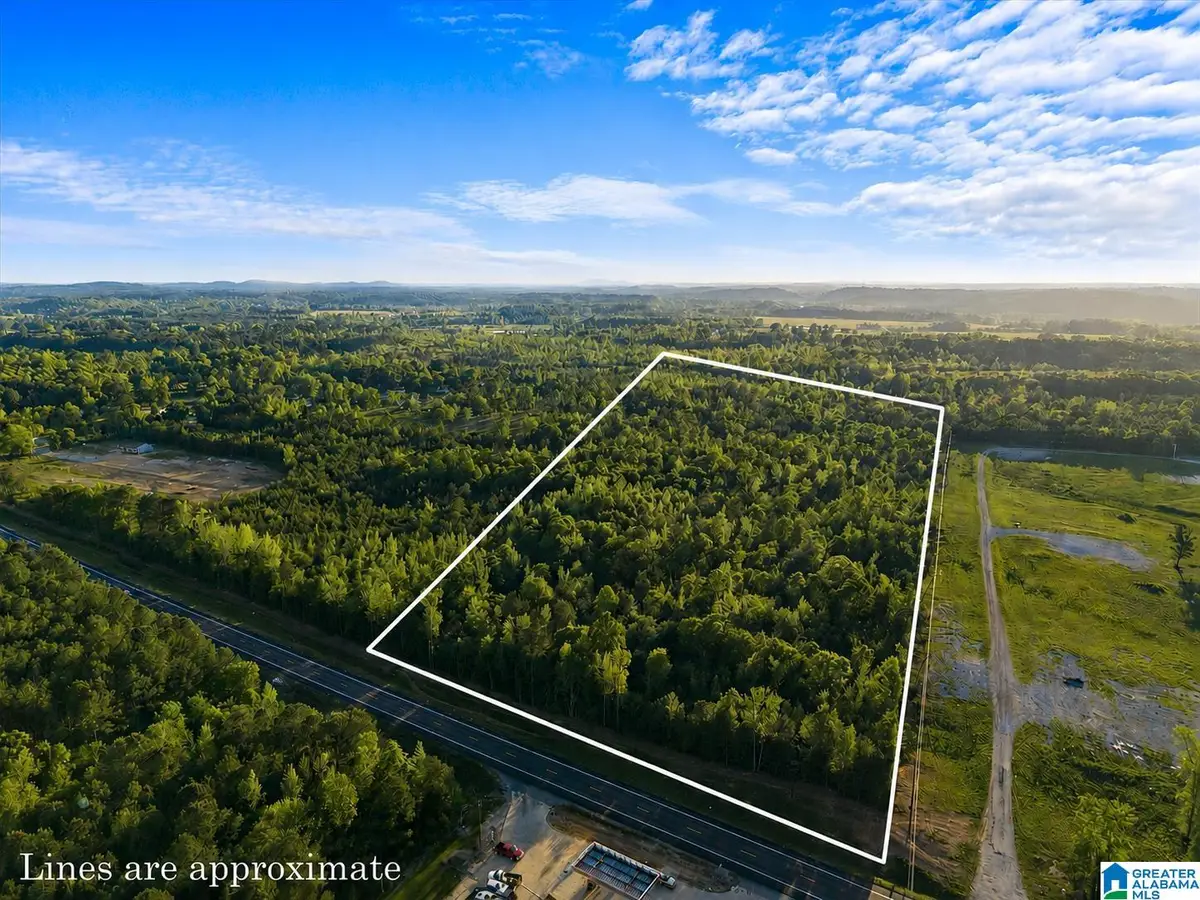 20 acres ALABAMA HIGHWAY 77, Ohatchee, AL 36271 - #1