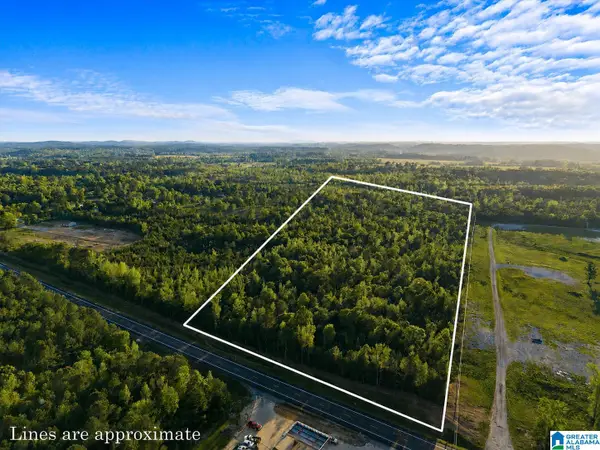 20 acres ALABAMA HIGHWAY 77, Ohatchee, AL 36271