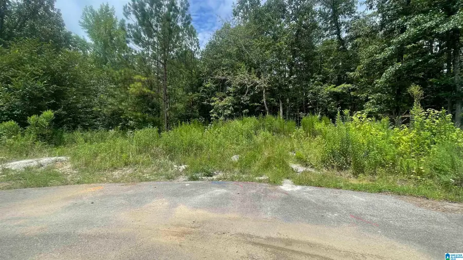 5020 LAUREL LAKES TERRACE, Bessemer, AL 35022 - #2