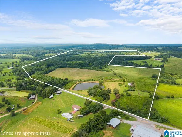 270 RENEAU ROAD, Oneonta, AL 35121