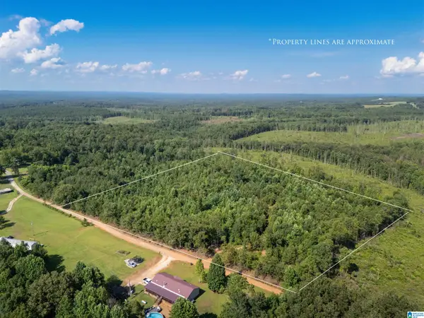 584 MONCUS ROAD, Cragford, AL 36255