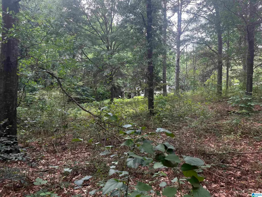 3006 WHISPERING PINES LANE, Fultondale, AL 35068 - #2