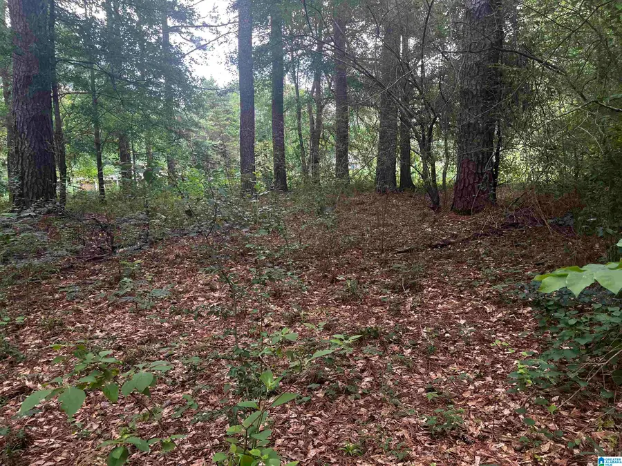 3006 WHISPERING PINES LANE, Fultondale, AL 35068 - #3