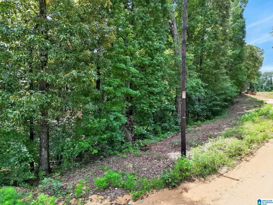 0 COUNTY ROAD 133, Jemison, AL 35085 - #2