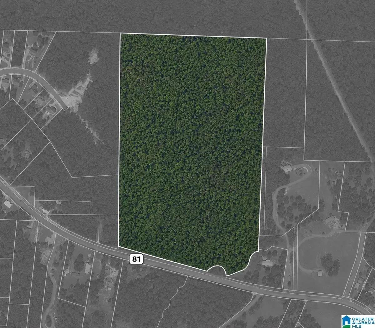 0 HIGHWAY 81, Vincent, AL 35178 - #1