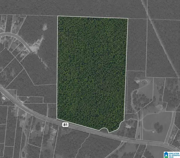 0 HIGHWAY 81, Vincent, AL 35178