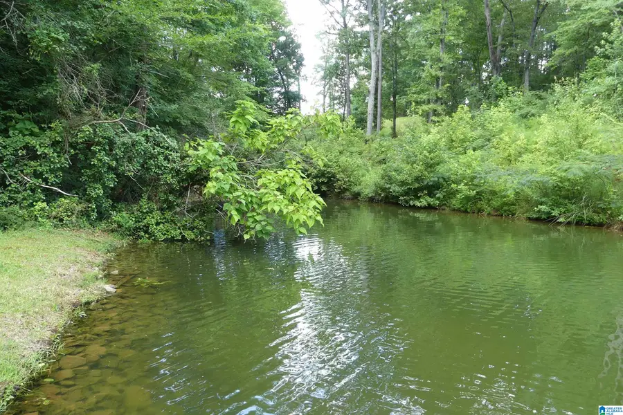 173 LADONNA DRIVE, Wedowee, AL 36278 - #2