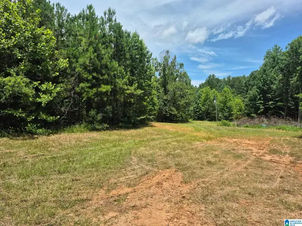0 COUNTY ROAD 928, Delta, AL 36258
