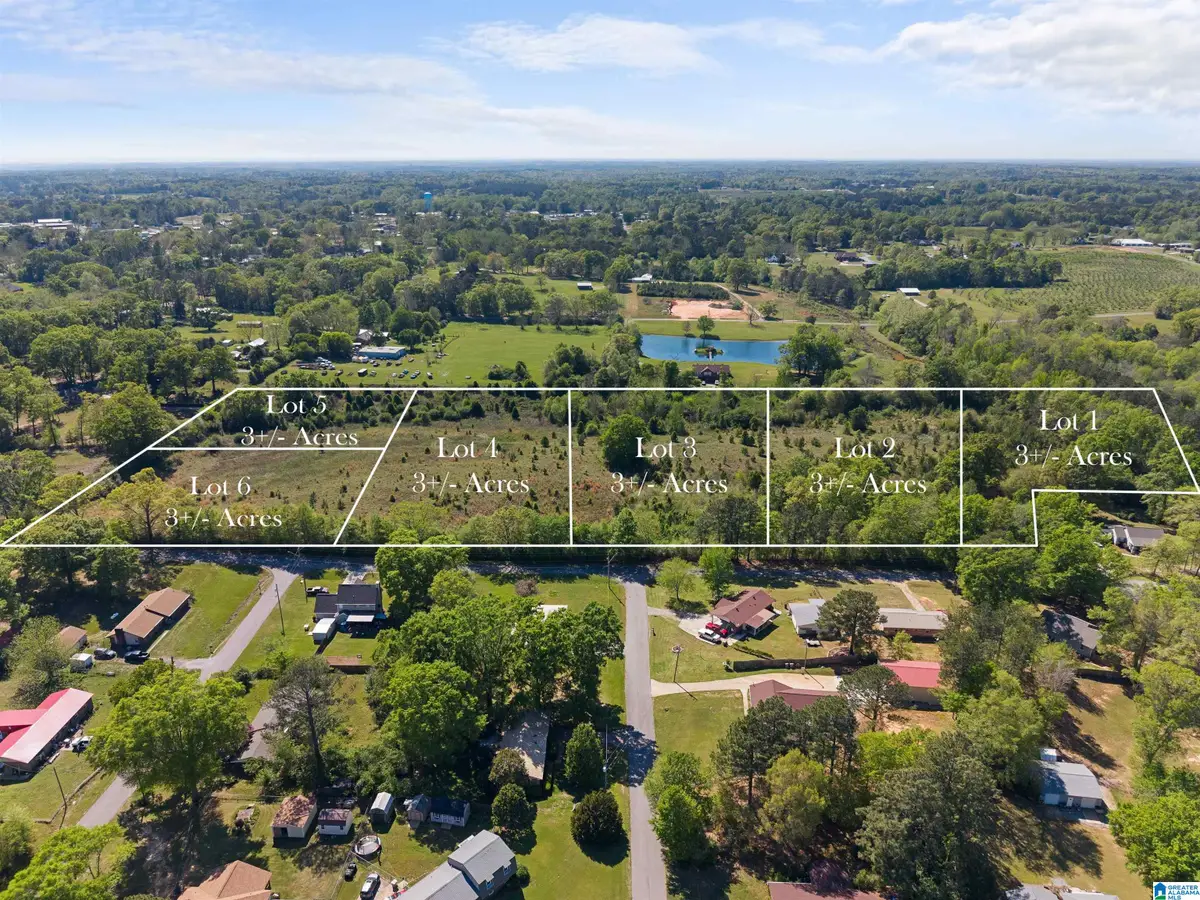 0 LINCOLN STREET, Thorsby, AL 35171 - #1