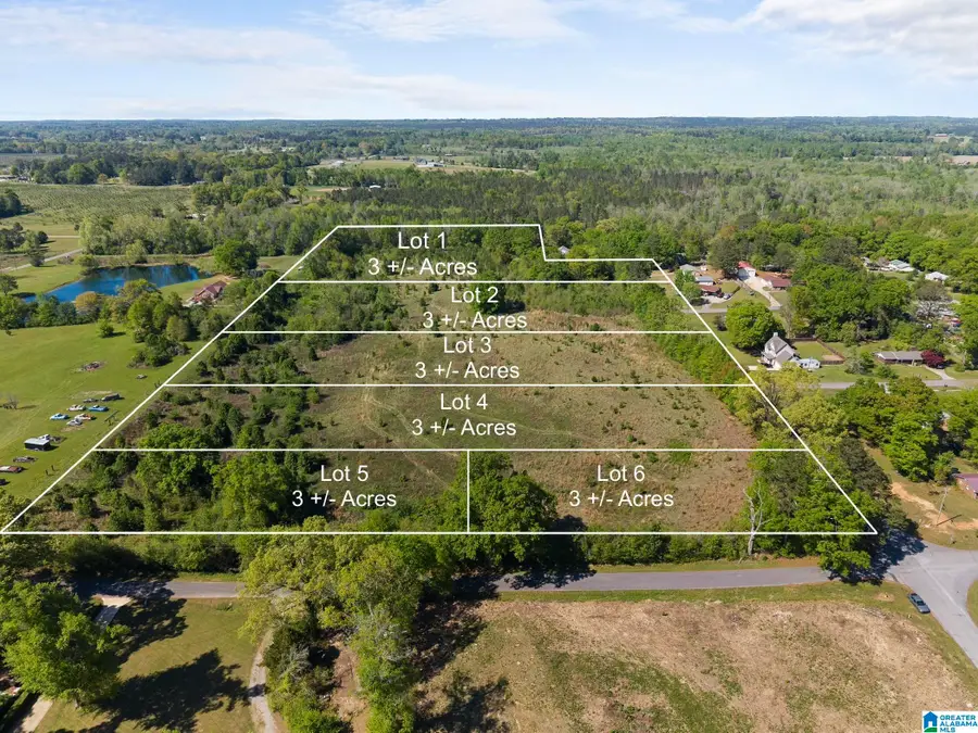 0 PETERSON AVENUE, Thorsby, AL 35171 - #2