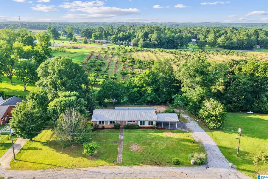 63 PINE STREET, Thorsby, AL 35171 - #3