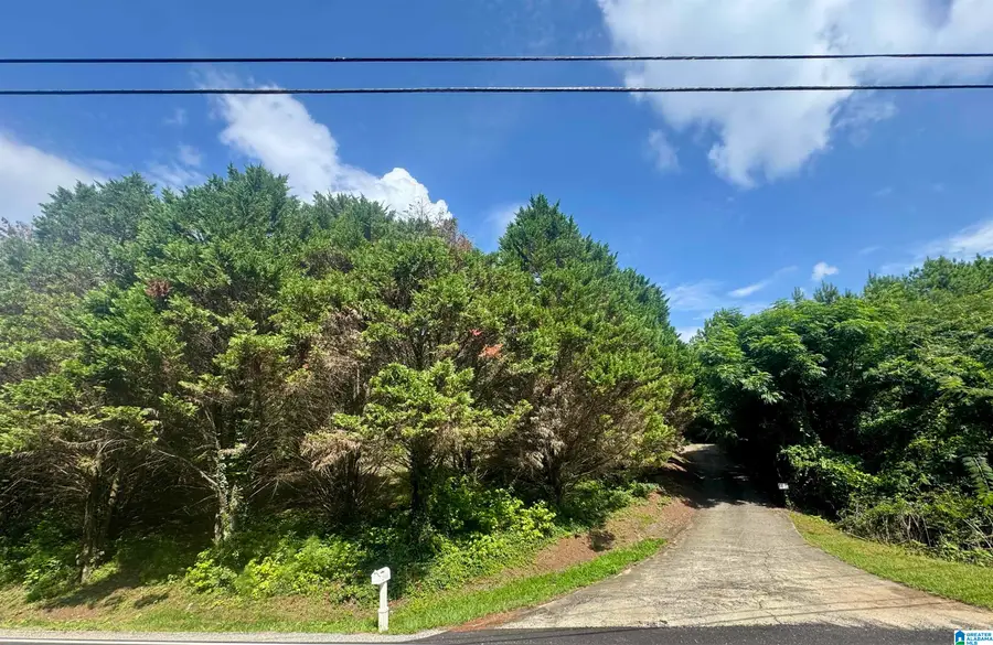 2380 RUSHING SPRINGS ROAD, Lincoln, AL 35096 - #2