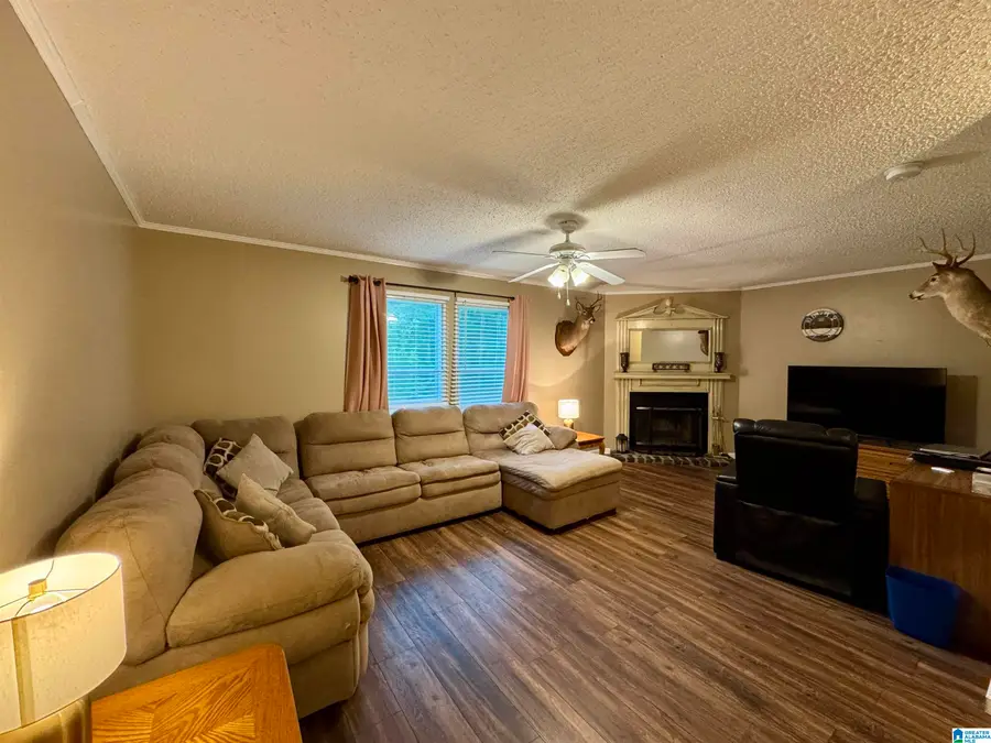 402 MOUNTAIN DRIVE, Remlap, AL 35133 - #3