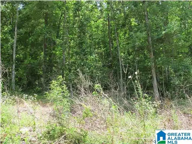 LOT # 24 MANDY DRIVE, Wedowee, AL 36278 - #3
