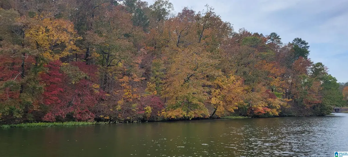 Lot 7 EAGLE MOUNTAIN ROAD, Rockford, AL 35136 - #1