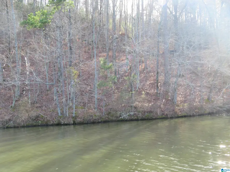 Lot 7 EAGLE MOUNTAIN ROAD, Rockford, AL 35136 - #2