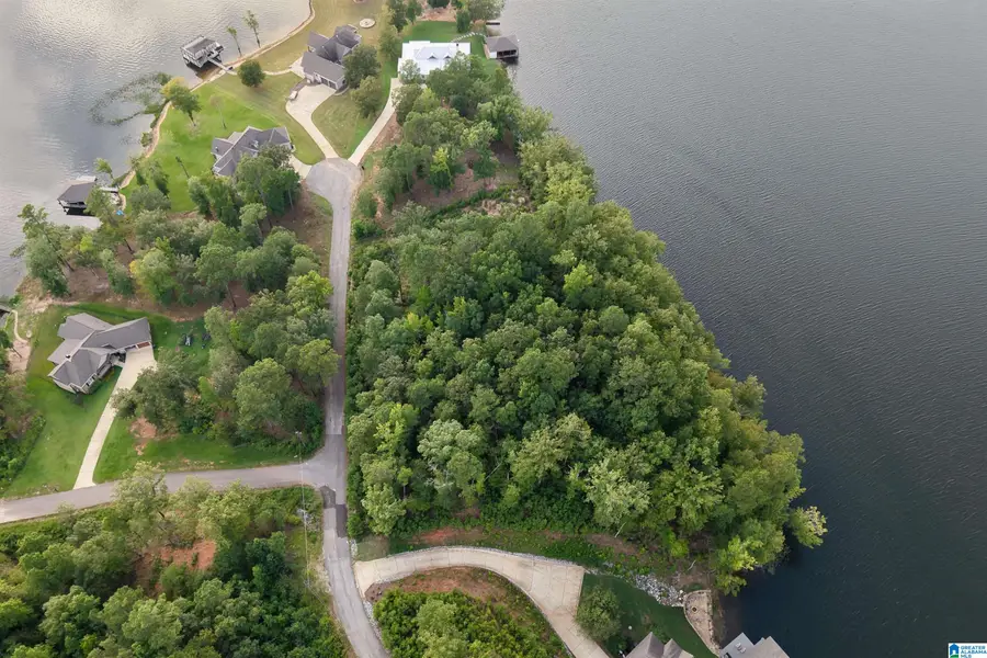 Lot 7 EAGLE MOUNTAIN ROAD, Rockford, AL 35136 - #3