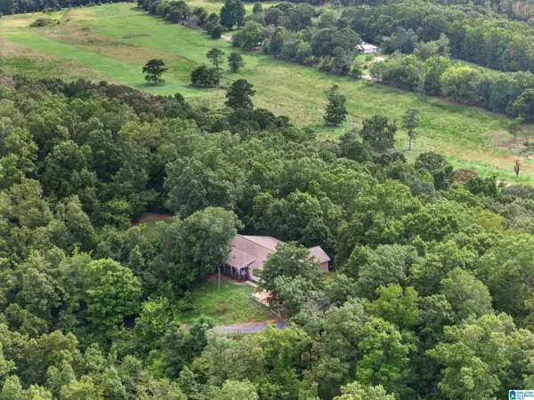 507 COPPERHEAD ROAD, Jacksonville, AL 36265