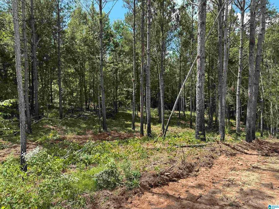0 COUNTY ROAD 246, Five Points, AL 36855 - #2