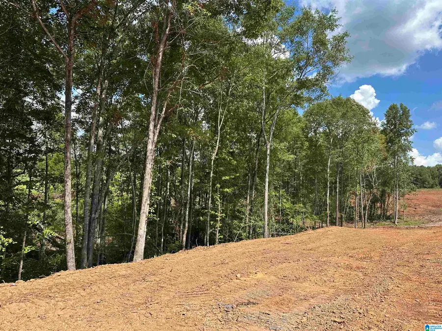 0 COUNTY ROAD 246, Five Points, AL 36855 - #3