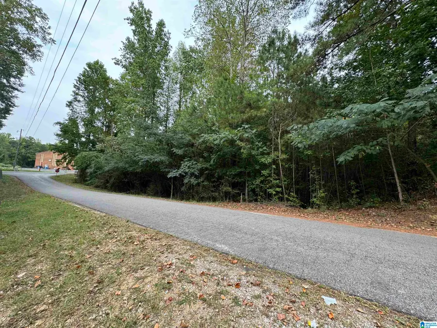 1281 UNION GROVE ROAD, Adamsville, AL 35005 - #2