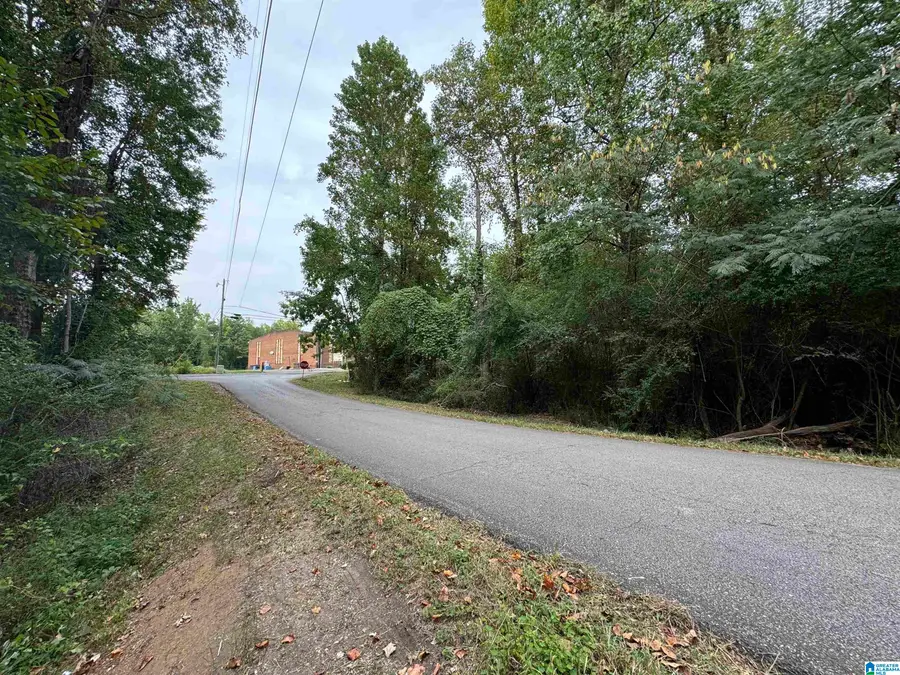 1281 UNION GROVE ROAD, Adamsville, AL 35005 - #3
