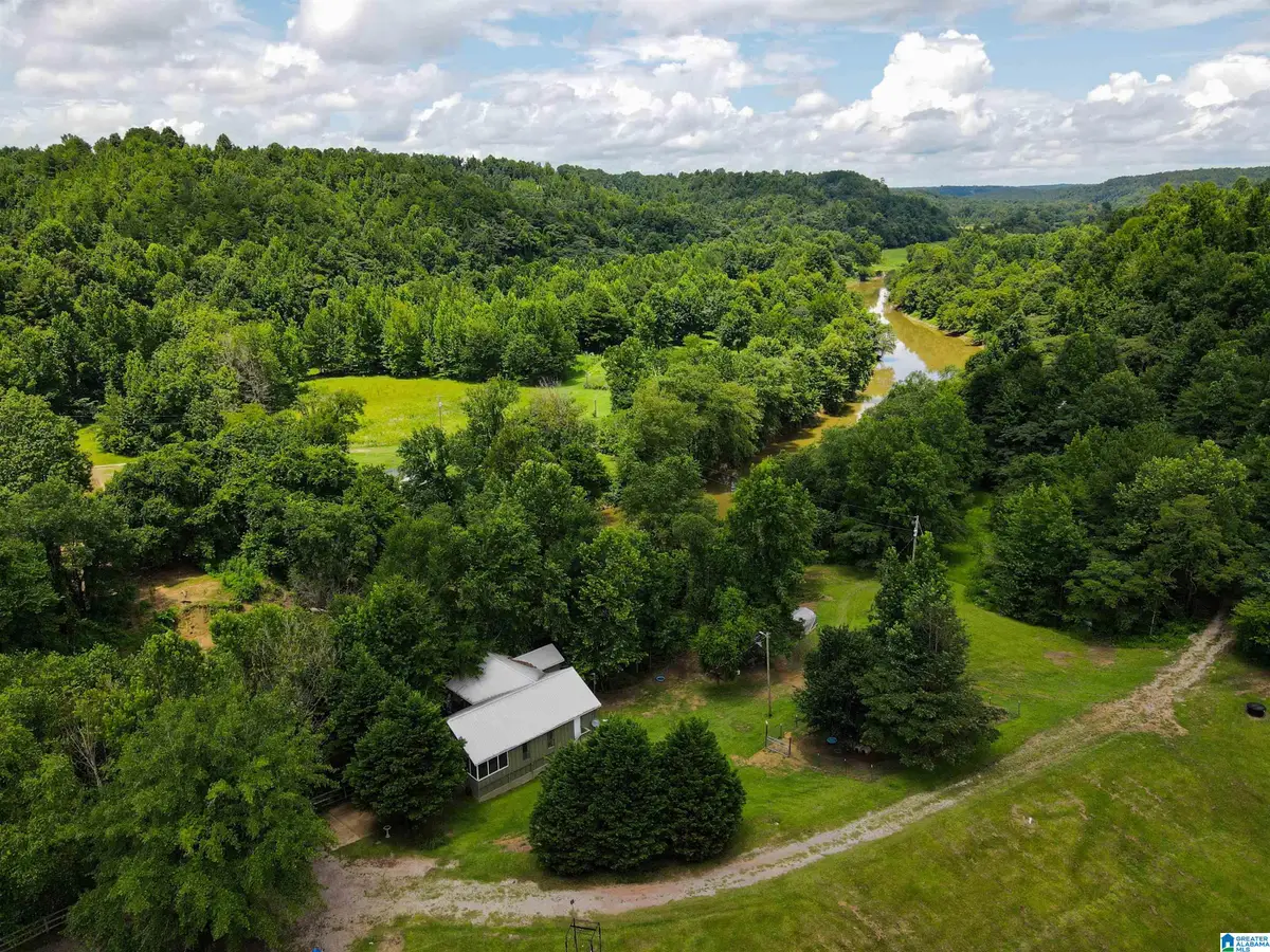 5997 SIPSEY ROAD, Empire, AL 35063 - #1