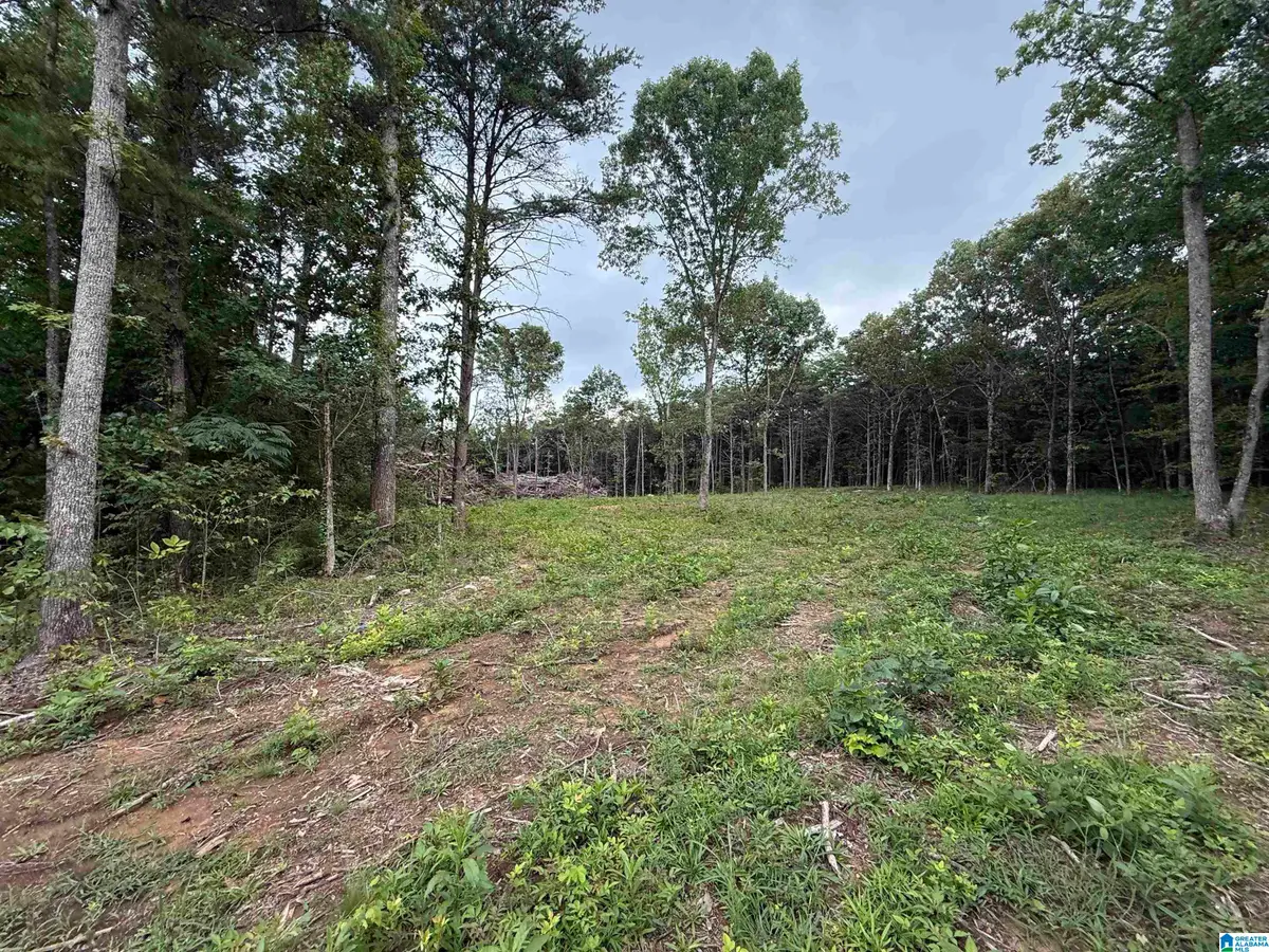 55 MOUNTAIN BROW DRIVE, Oneonta, AL 35121 - #1