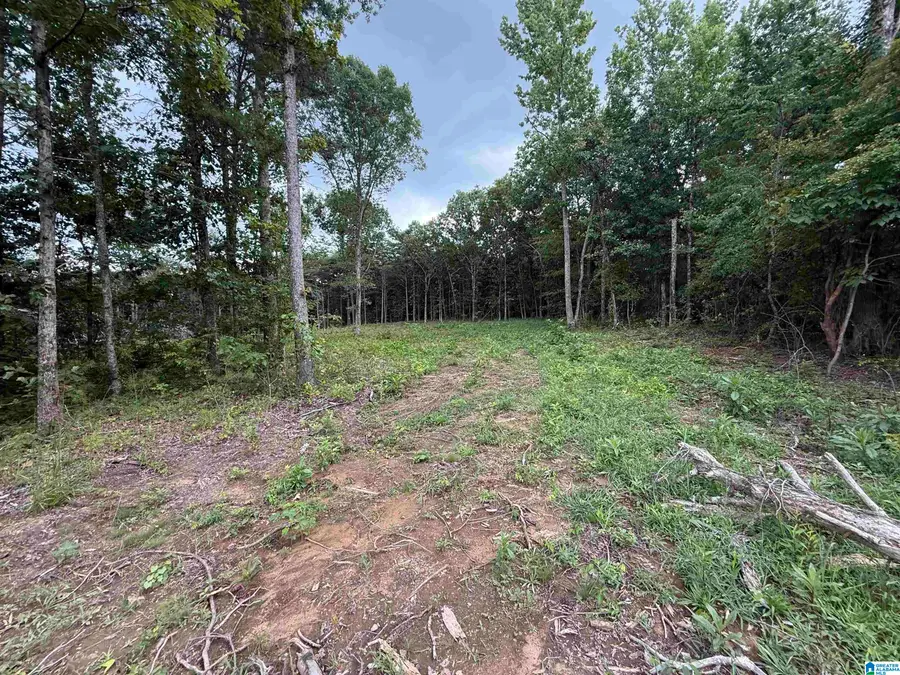 55 MOUNTAIN BROW DRIVE, Oneonta, AL 35121 - #2