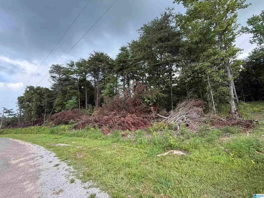 55 MOUNTAIN BROW DRIVE, Oneonta, AL 35121 - #3