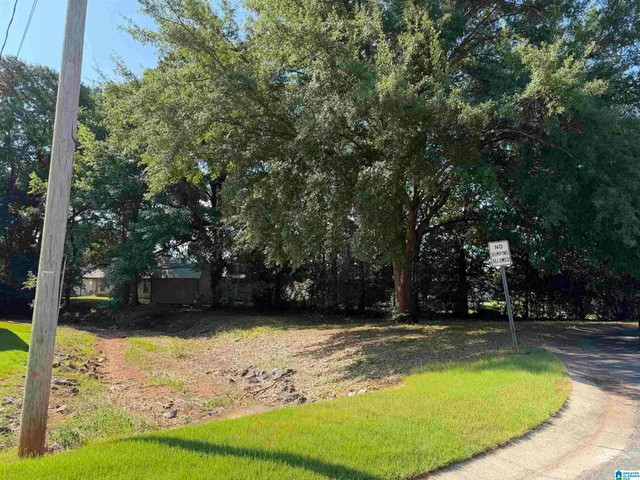 1009 25TH AVENUE N, Hueytown, AL 35023 - #3