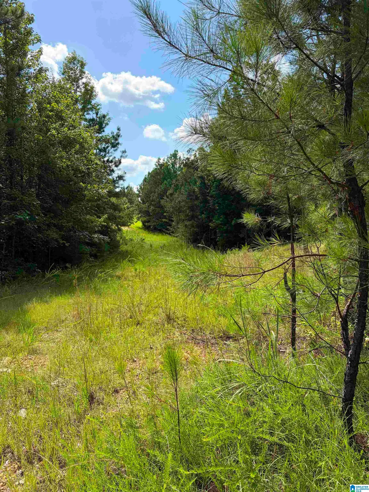 COUNTY ROAD 228, Clanton, AL 35045 - #1