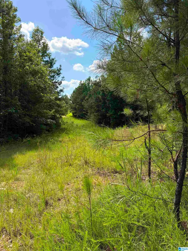 COUNTY ROAD 228, Clanton, AL 35045