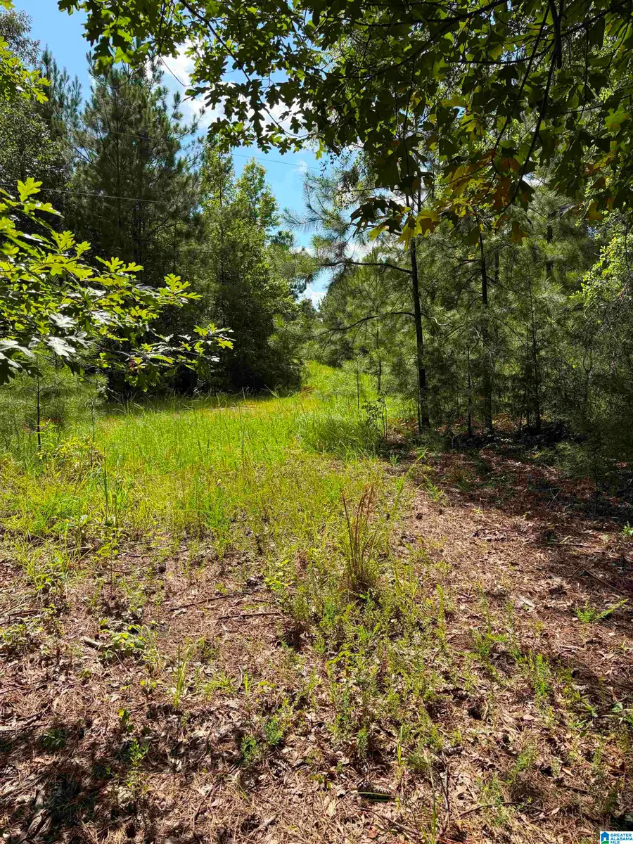 COUNTY ROAD 228, Clanton, AL 35045 - #2