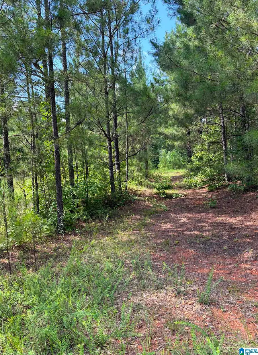 COUNTY ROAD 228, Clanton, AL 35045 - #3