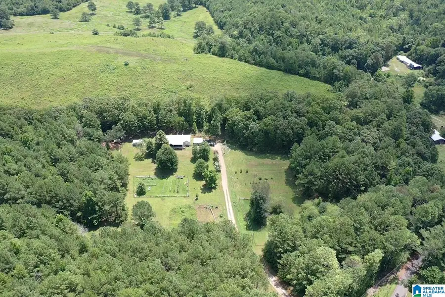 1252 NATURE TRAIL, Jacksonville, AL 36265 - #3