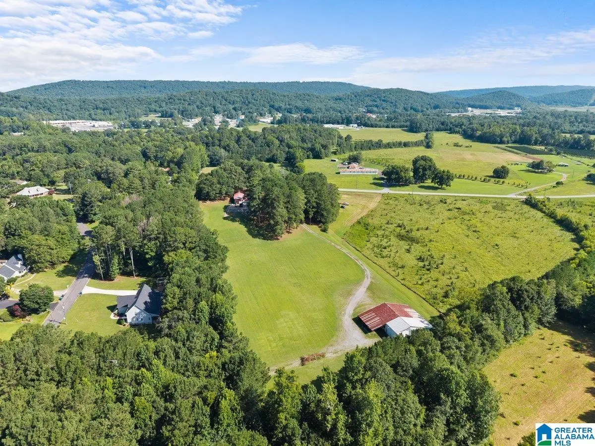 1120 VALLEY ROAD, Oneonta, AL 35121 - #1