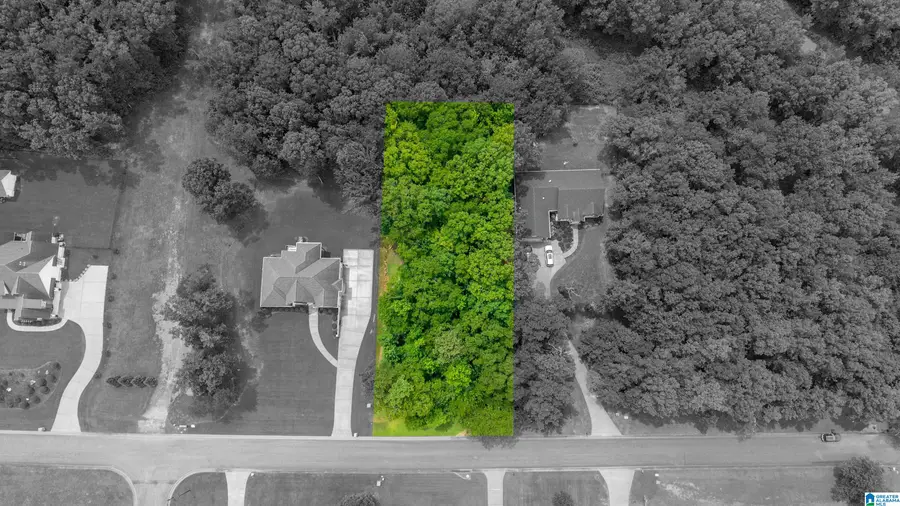 210 LAKEVIEW CREST DRIVE, Pell City, AL 35128 - #2