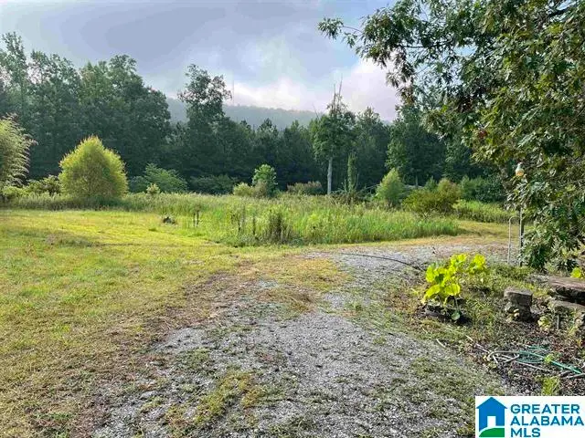 6345 FARLEY LANE, Birmingham, AL 35242 - #1