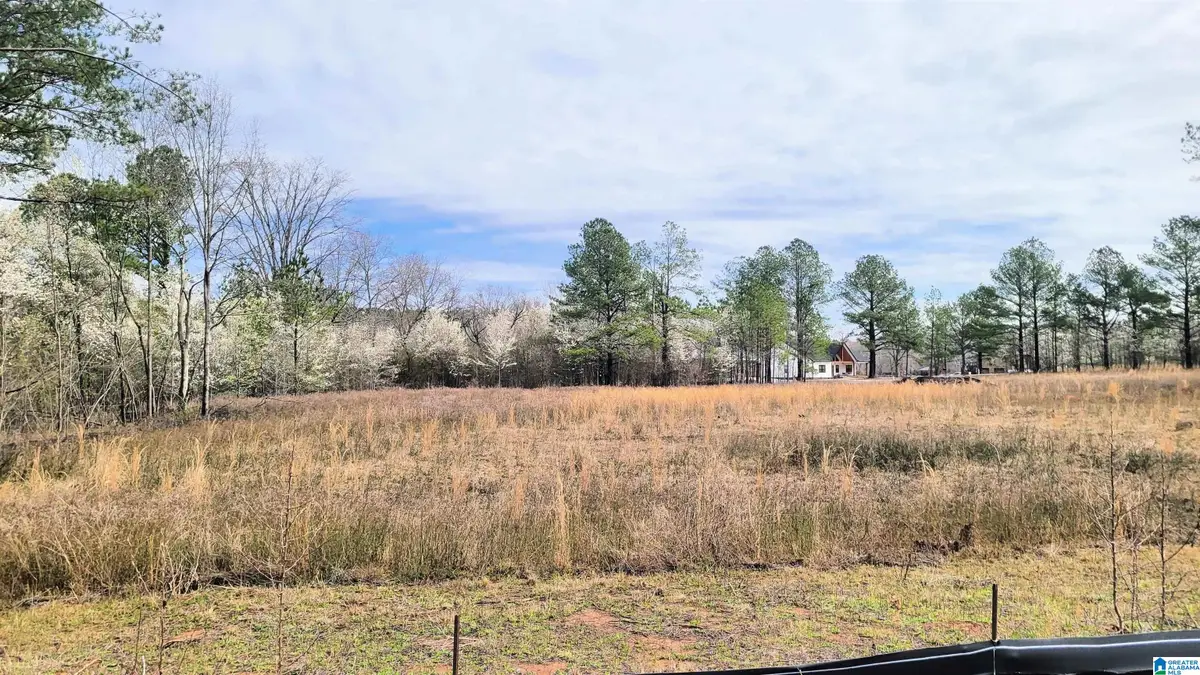 1019 CHANCELLORS FERRY LOOP, Harpersville, AL 35078 - #1