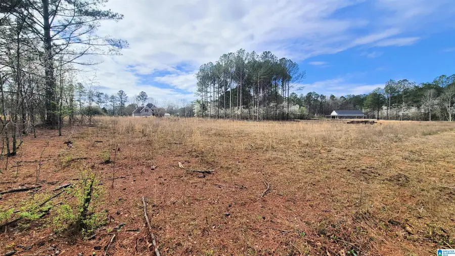 1019 CHANCELLORS FERRY LOOP, Harpersville, AL 35078 - #2
