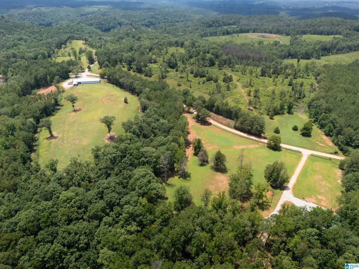 1310 COUNTY ROAD 269, Wedowee, AL 36278 - #1