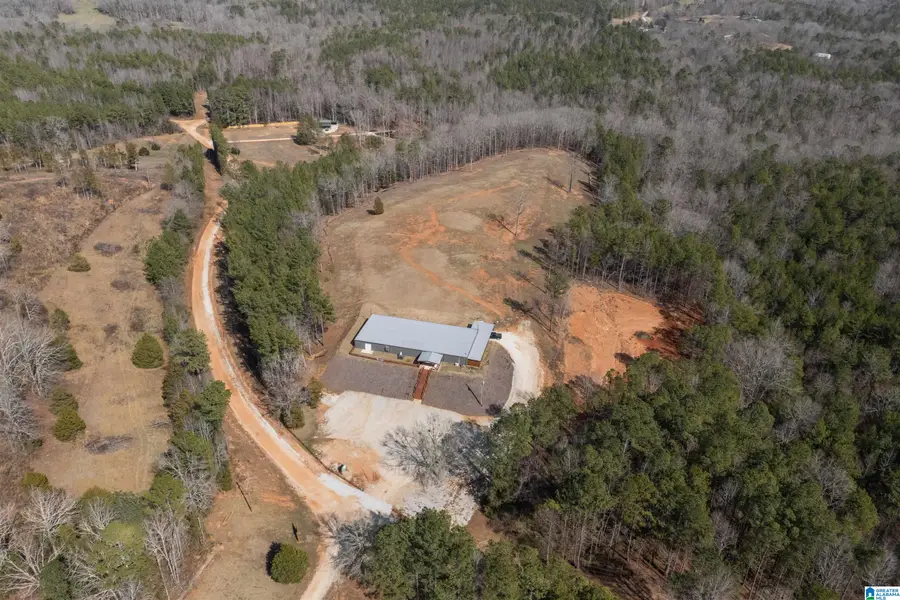 1310 COUNTY ROAD 269, Wedowee, AL 36278 - #2