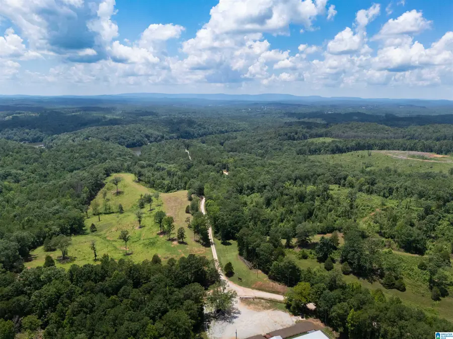 1310 COUNTY ROAD 269, Wedowee, AL 36278 - #3