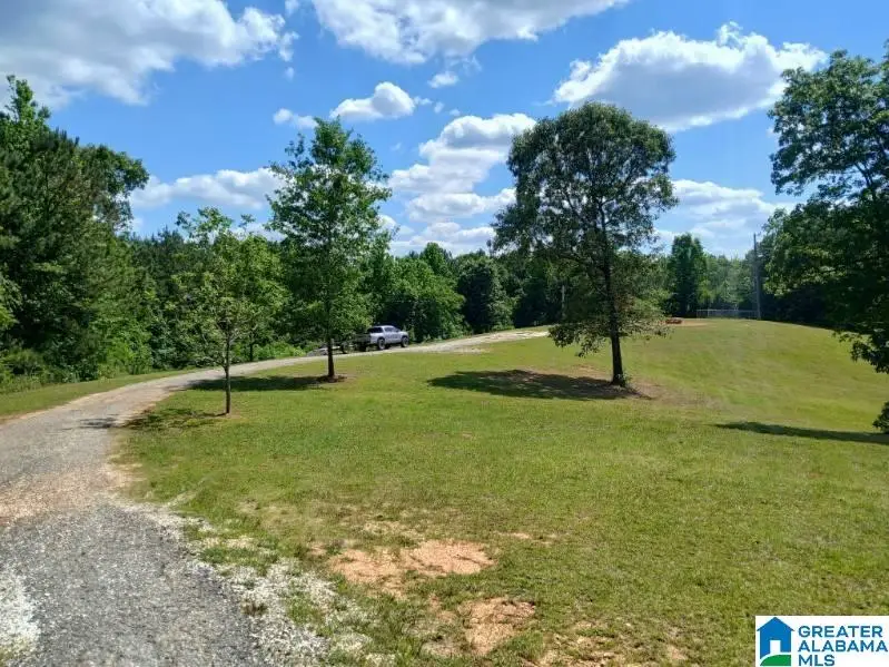255 NEW COUNTY LINE ROAD, Sylacauga, AL 35151 - #1