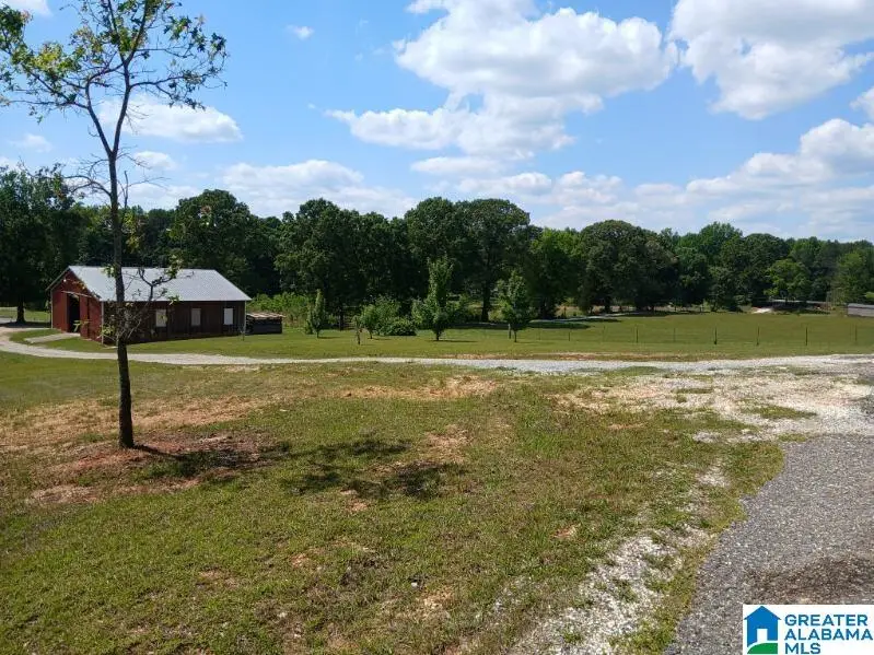 255 NEW COUNTY LINE ROAD, Sylacauga, AL 35151 - #2