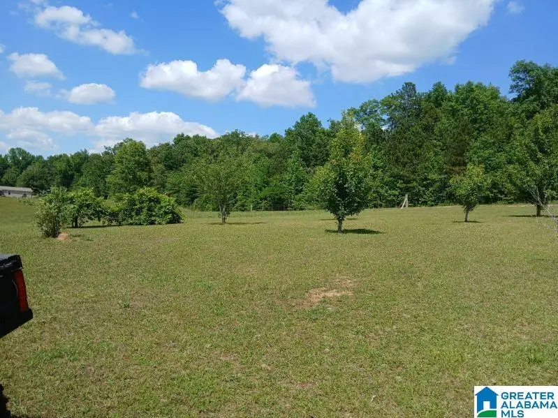 255 NEW COUNTY LINE ROAD, Sylacauga, AL 35151 - #3