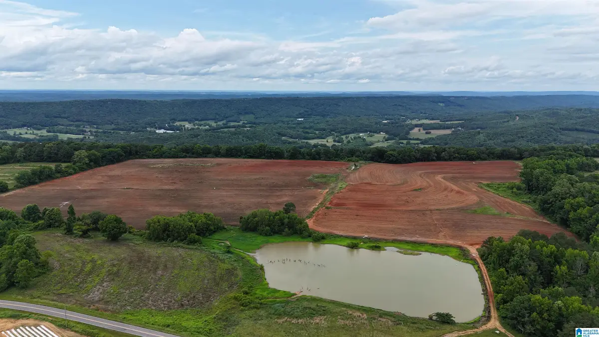 2683 COUNTY ROAD 42, Steele, AL 35987 - #1