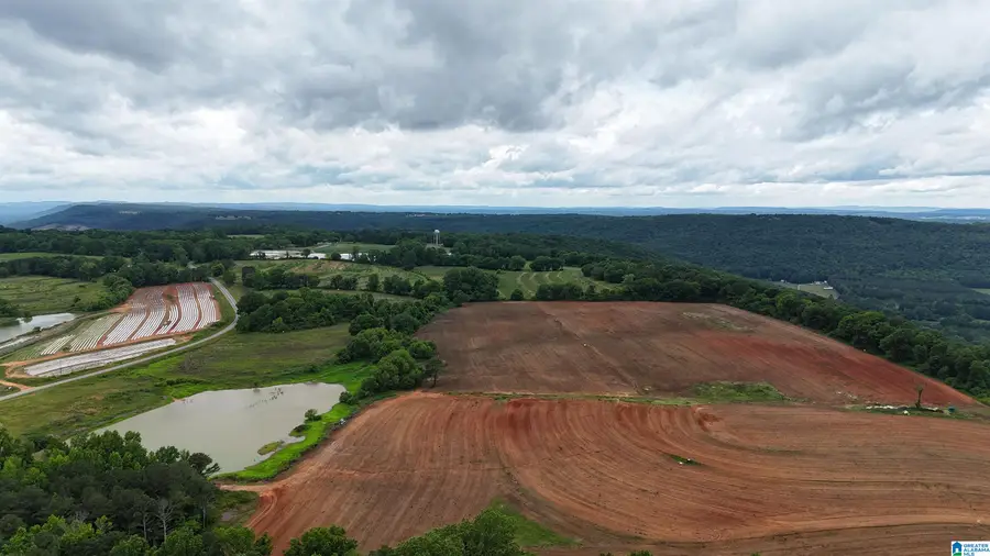 2683 COUNTY ROAD 42, Steele, AL 35987 - #3