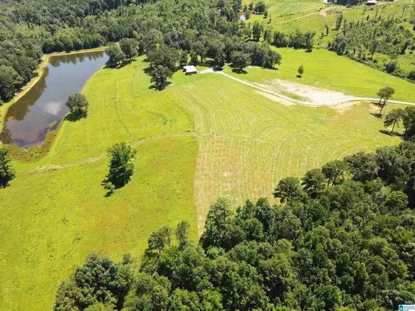 543 LAKE WANCOOLEE LANE, Pell city, AL 35125